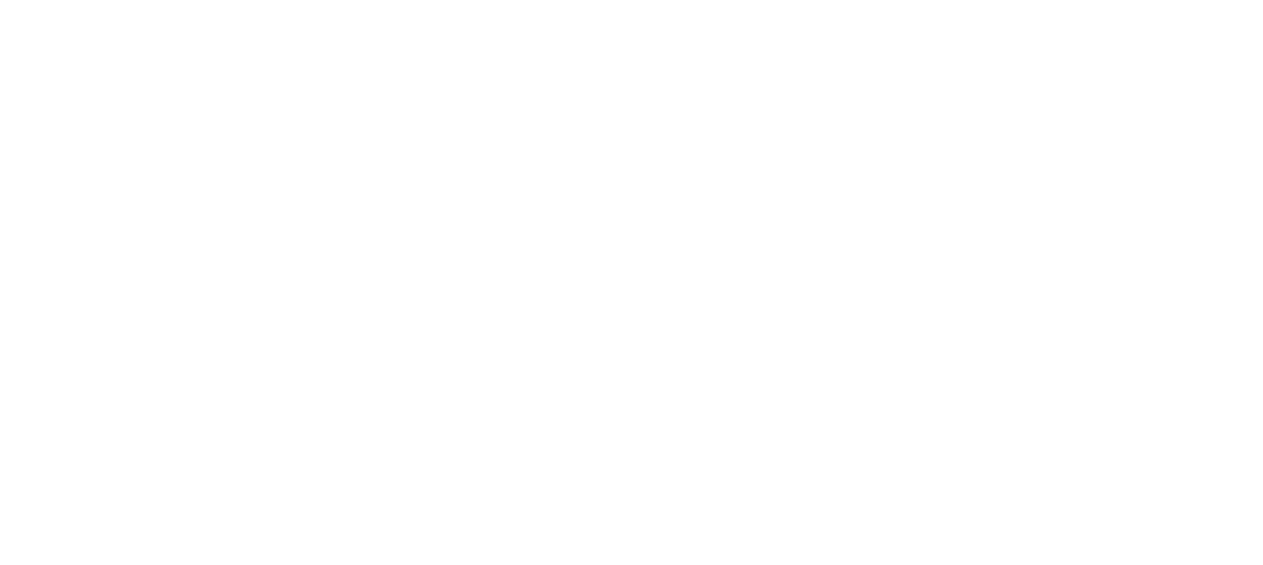 IDD safe Logos-02